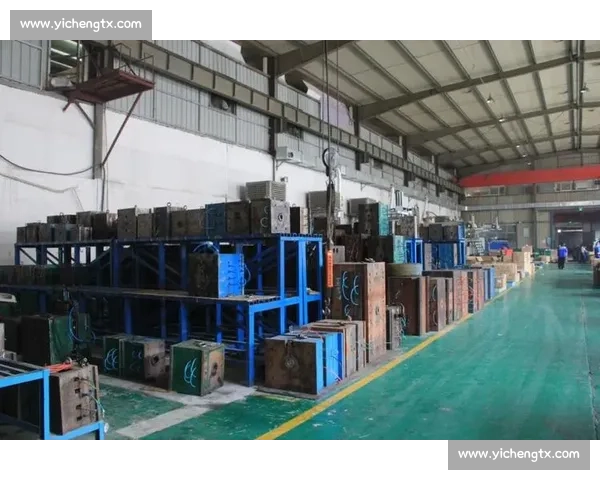 在激烈竞争中逆势突围的黑马力量与时代机遇解析发展路径和未来前景