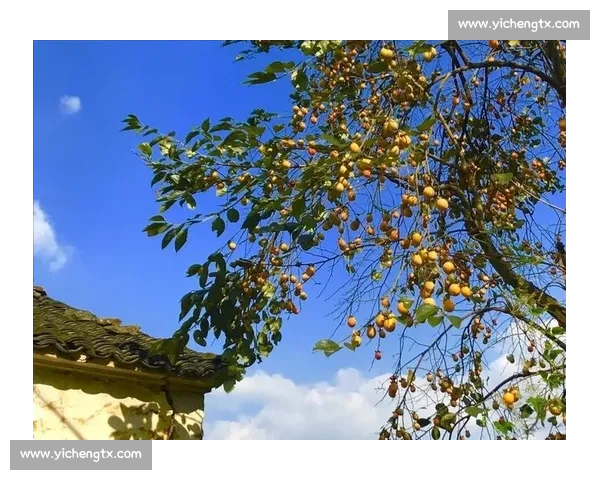 城市清晨与微风相伴的踩单车慢生活探索与心灵自由之旅点滴记忆篇